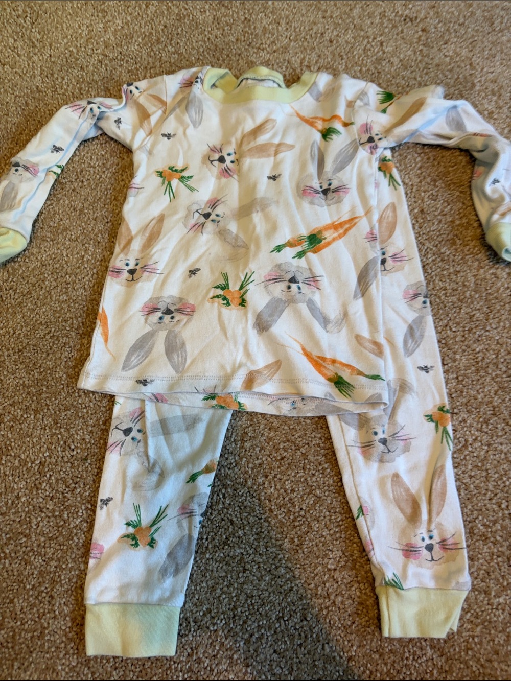 Burts Bees Kids Bunny & Carrot Pajama Set. Easter